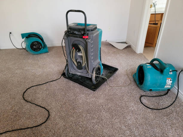 Best Ceiling water damage repair  in La Marque, TX