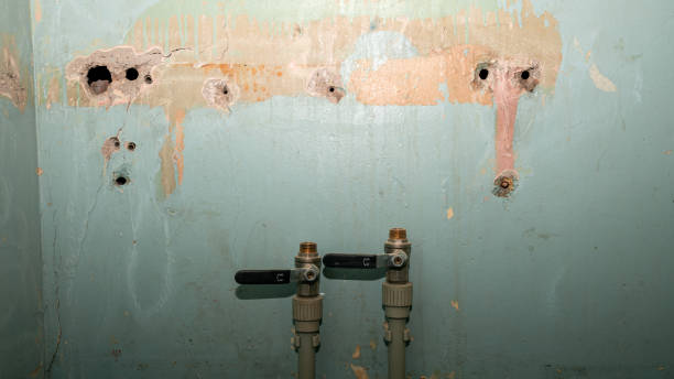 Best Water damage restoration insurance claims  in La Marque, TX