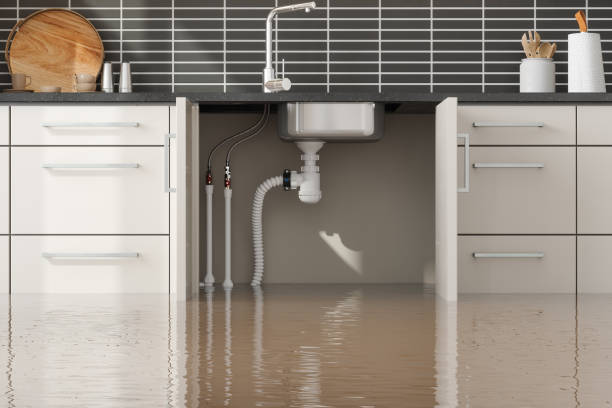 Best Flooded house restoration  in La Marque, TX