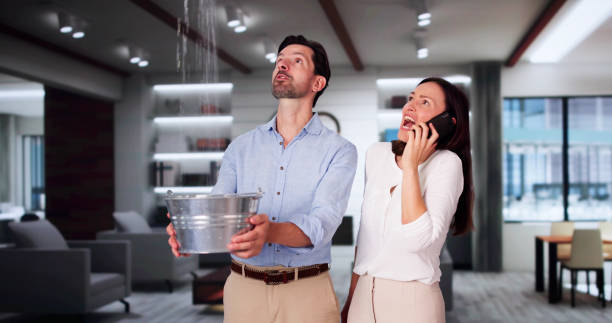 Best Sewage cleanup and water damage restoration  in La Marque, TX
