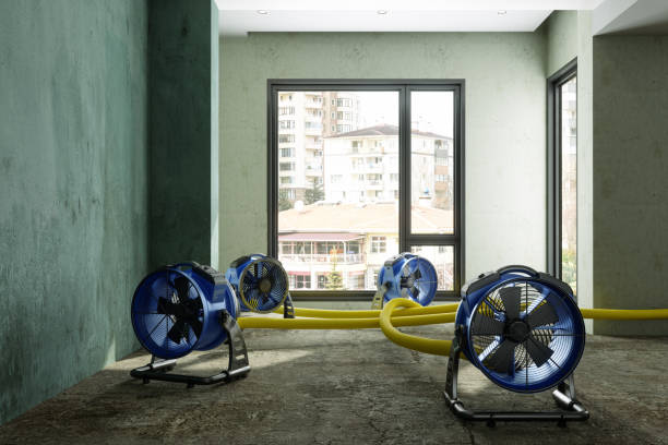 Best Sewage cleanup and water damage restoration  in La Marque, TX