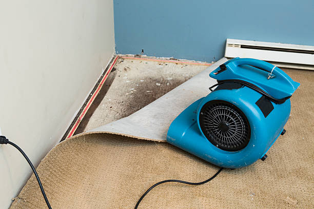 Best Water damage restoration near me  in La Marque, TX